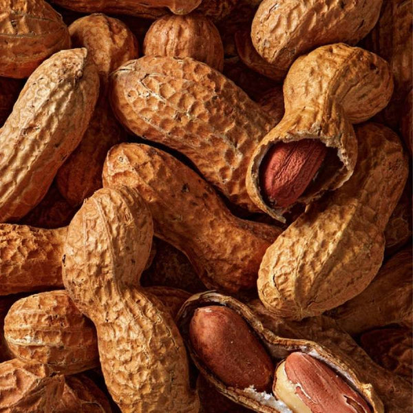 NAN'S STASH Schokolade mit Erdnuss, Toffee & Vollkornkeks (150g)