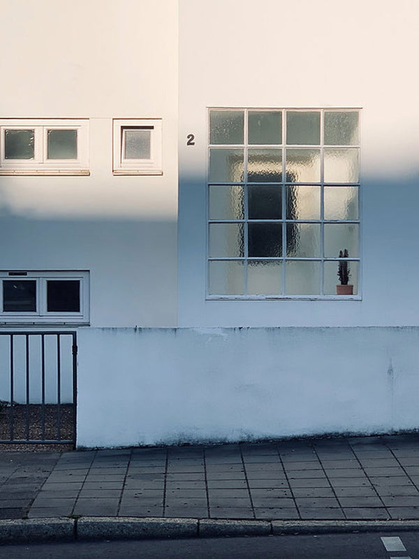 Cactus FineArt Print