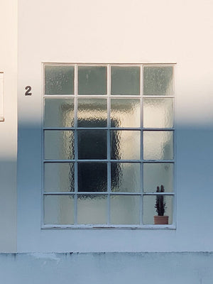 Cactus FineArt Print