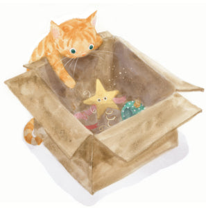 Das kleine Weihnachtssternchen