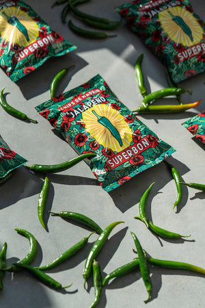 Superbon Chips de Madrid Jalapeño 125g