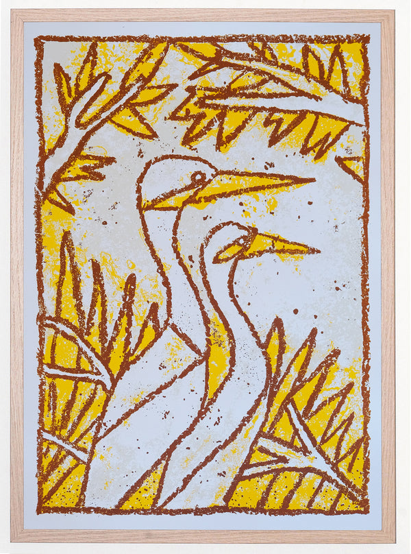 Abel Macias - Birds - Kigali (Ruanda)