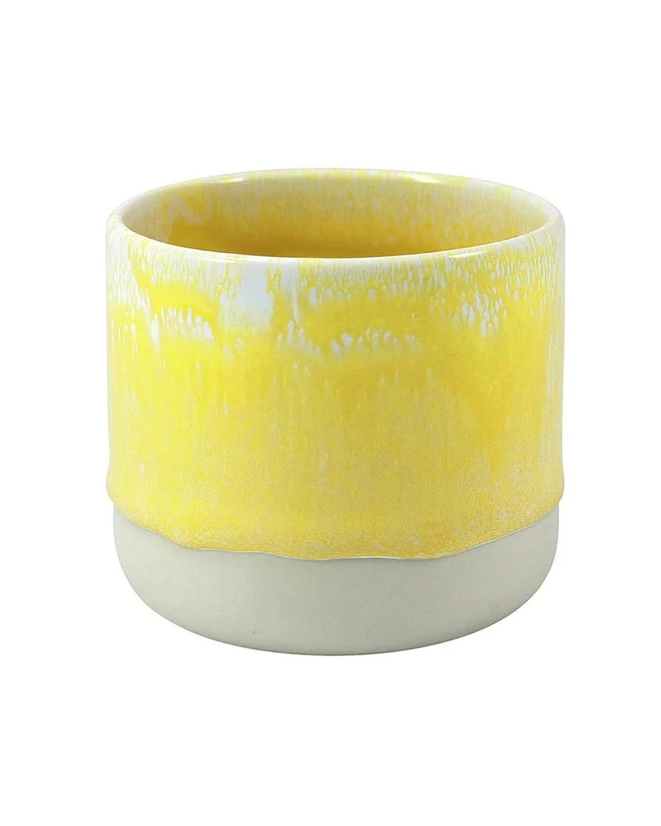 Quench Cup Sun Beam