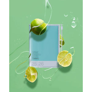 Mark's A6 Color Diary 2025/2026 Mint