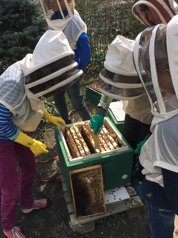 Hamburger Stadthonig - Schanzenpark - 375g