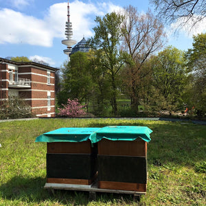 Hamburger Stadthonig - Schanzenpark - 375g