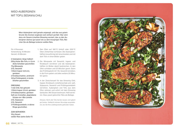 Ofen Express Vegetarisch