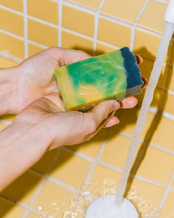 Tarta Gelatina Avocado Seife