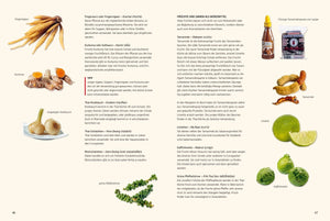 Vegan Thai - 65 vegane Köstlichkeiten