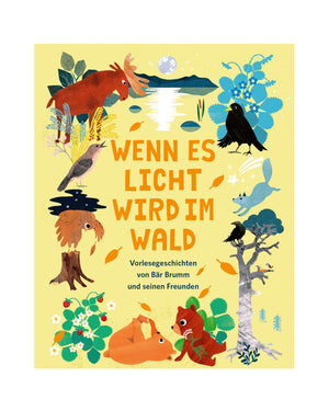Buchcover „Wenn es Licht wird im Wald“ mit Waldszene, Tieren und herbstlichen Elementen; Vorlesegeschichten von Bär Brumm und Freunden für Kinder ab 4 Jahren.