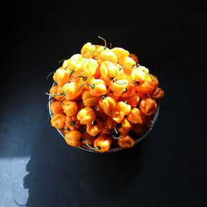 Zitrone, Ingwer & Habanero Hot Sauce "Lemon Hard"