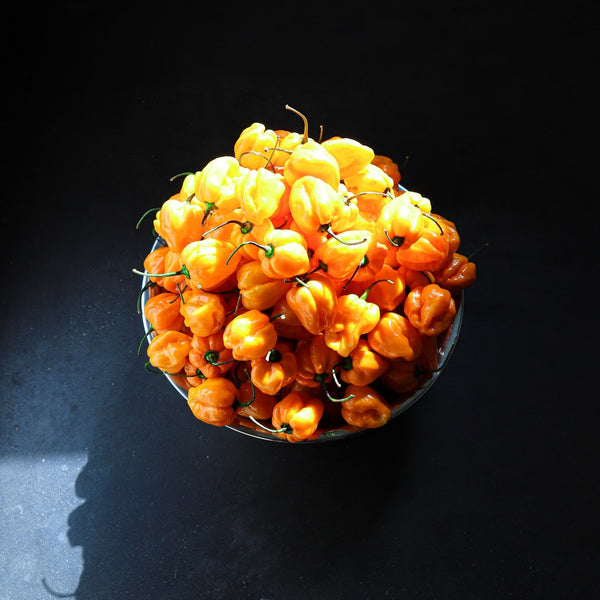 Zitrone, Ingwer & Habanero Hot Sauce "Lemon Hard"