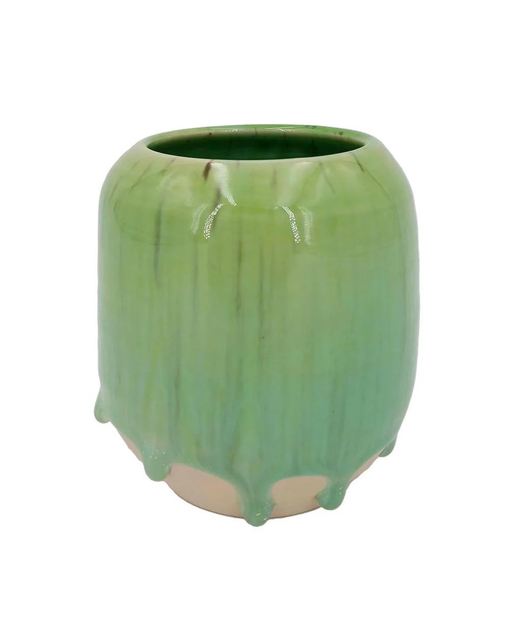 Pen Holder Overripe Kiwi