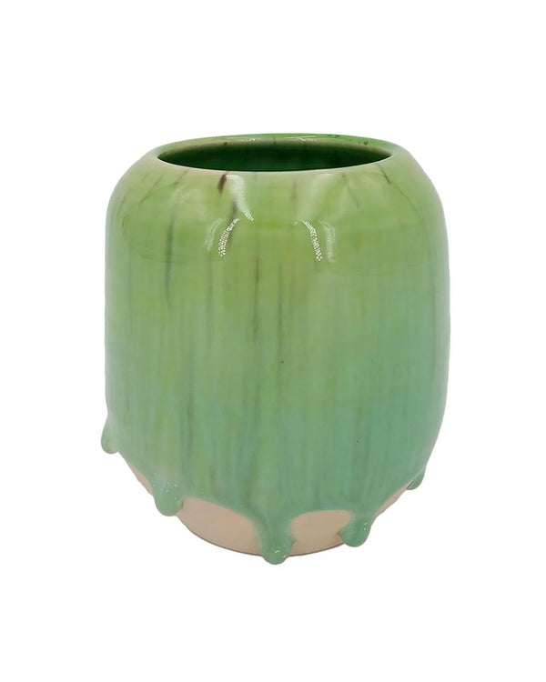 Pen Holder Overripe Kiwi