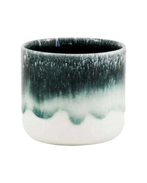 Quench Cup Stargazer