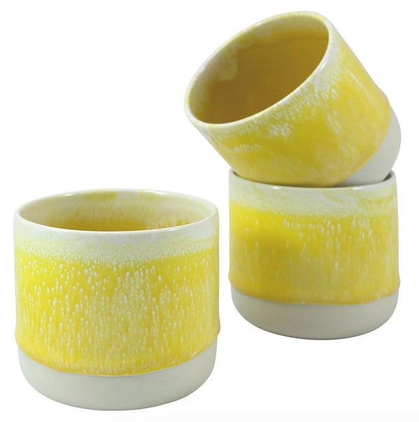 Quench Cup Sun Beam