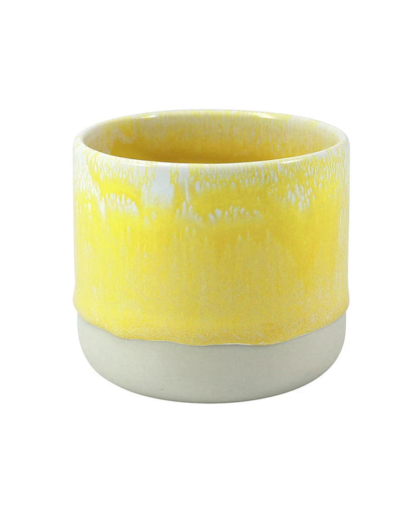 Quench Cup Sun Beam