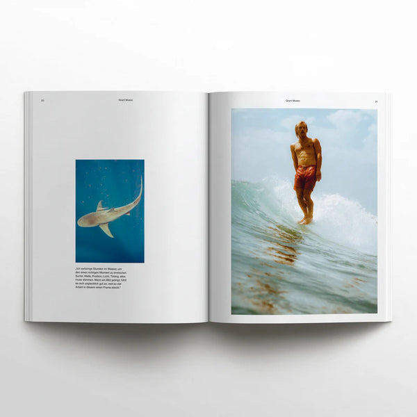 Waves & Woods No. 45