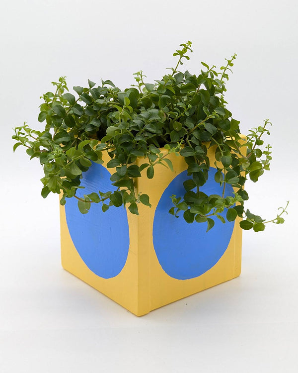 Art Pot Apricot Blue Dot - Unikat