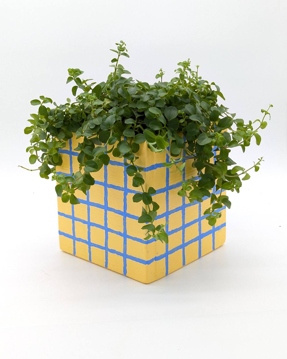 Art Pot Apricot Blue Grid – Unikat