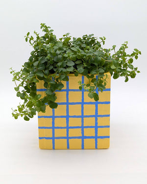 Art Pot Apricot Blue Grid – Unikat