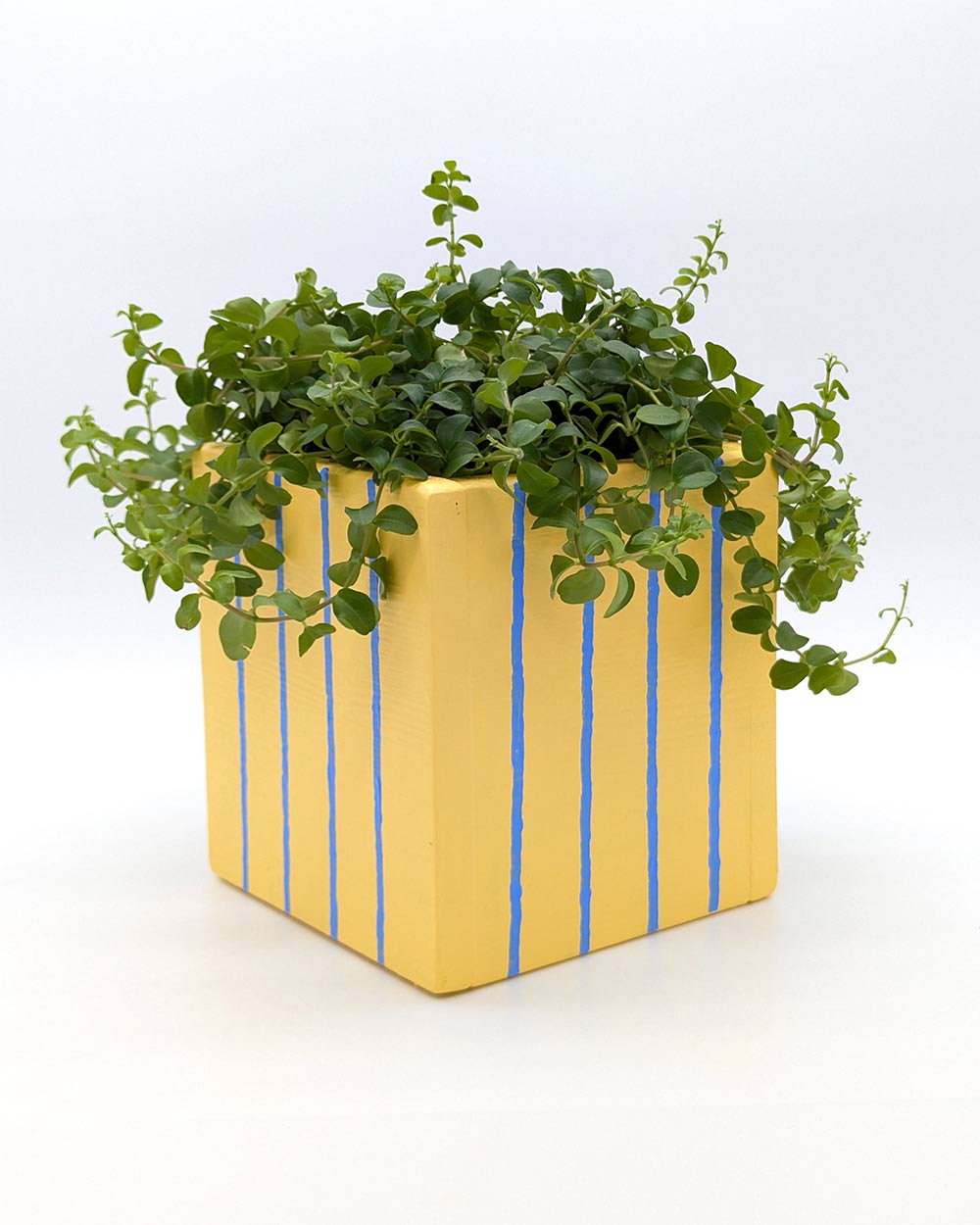 Art Pot Apricot Blue Stripes - Unikat