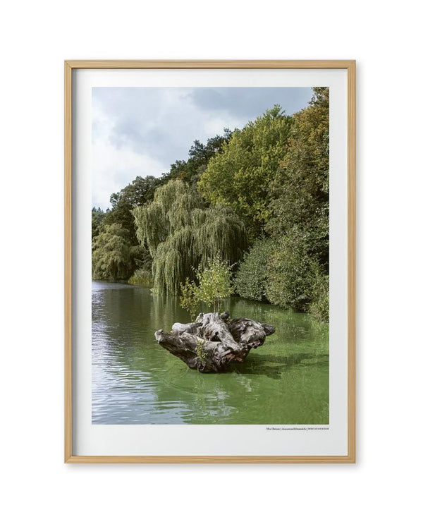 Wochenender Serie: Außenmühlenteich Poster (Din A3)