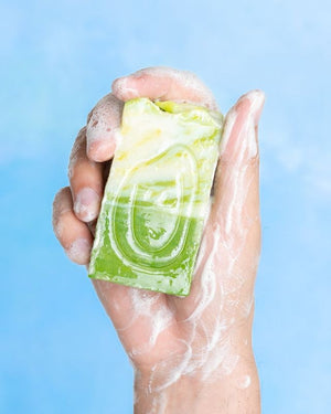 Tarta Gelatina Aloe Vera Seife