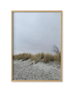 Baltic Sea 02 FineArt Print von Susan Smollich: Fotodruck einer Küstendüne mit Spuren im Sand, Gräsern im Wind und grauem Himmel, gerahmt in hellem Holz.