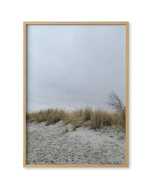 Baltic Sea 02 FineArt Print von Susan Smollich: Fotodruck einer Küstendüne mit Spuren im Sand, Gräsern im Wind und grauem Himmel, gerahmt in hellem Holz.