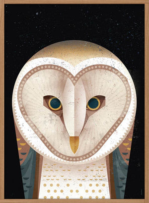 Barn Owl Poster (50 x 70 cm)