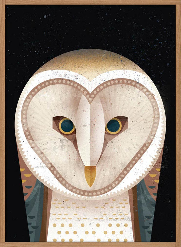 Barn Owl Poster (50 x 70 cm)