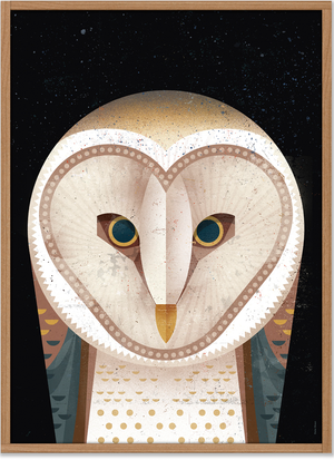 Barn Owl Poster (50 x 70 cm)
