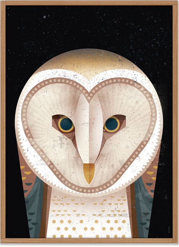 Barn Owl Poster (50 x 70 cm)