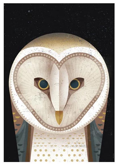 Dieter Braun - Barn Owl Postkarte