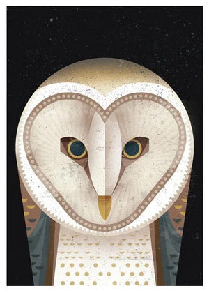 Dieter Braun - Barn Owl Postkarte