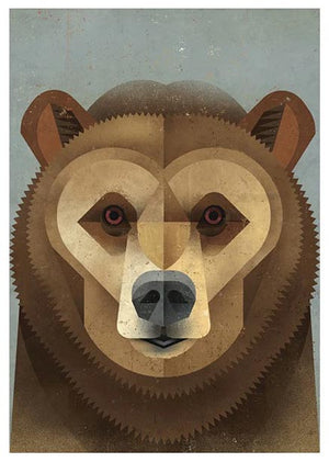 Kodiak Bear Postkarte