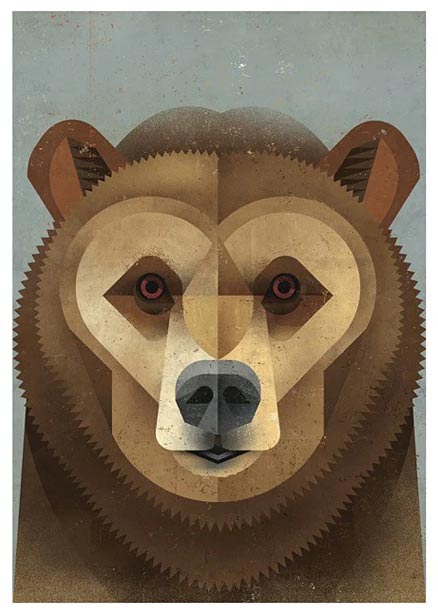 Kodiak Bear Postkarte