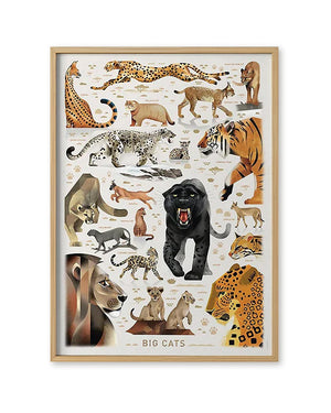 Poster Big Cats (50x70cm) von Dieter Braun zeigt stilisierte Großkatzen wie Gepard, Löwe, Tiger und mehr, illustriert auf weißem Hintergrund mit Beschriftungen und Pfotenabdrücken.