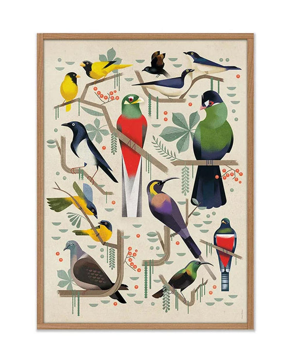 Birds Poster (50x70cm)