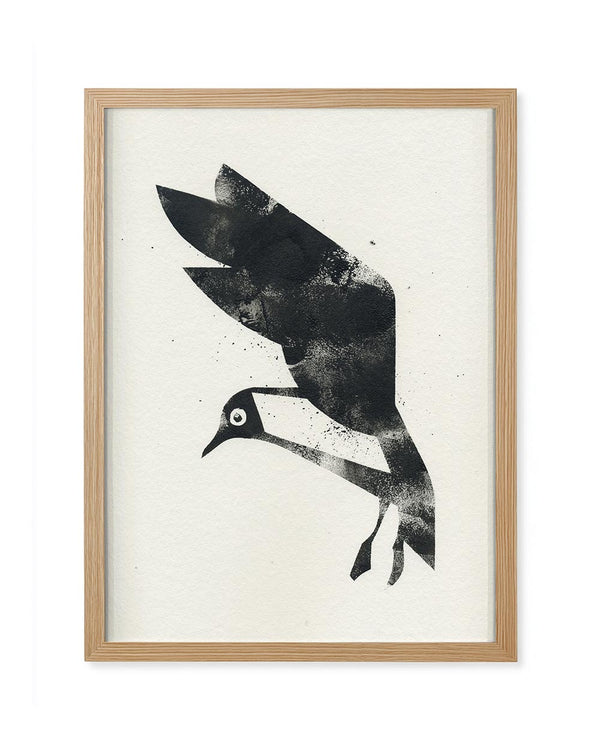 Möwe - Gerahmt (24x30cm) - Dieter Braun