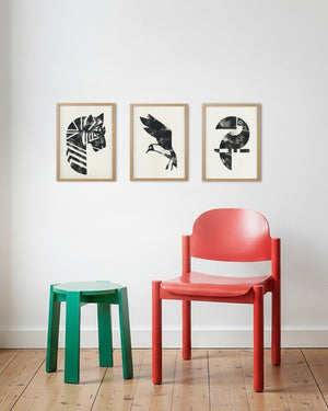 Tukan - Gerahmt (24x30cm) - Dieter Braun