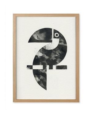 Tukan - Gerahmt (24x30cm) - Dieter Braun