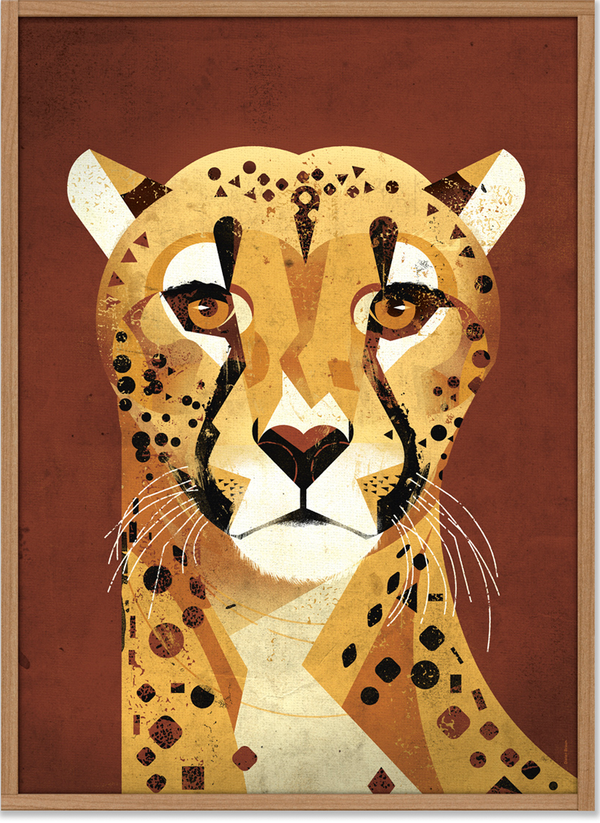 Cheetah Poster (50 x 70 cm)
