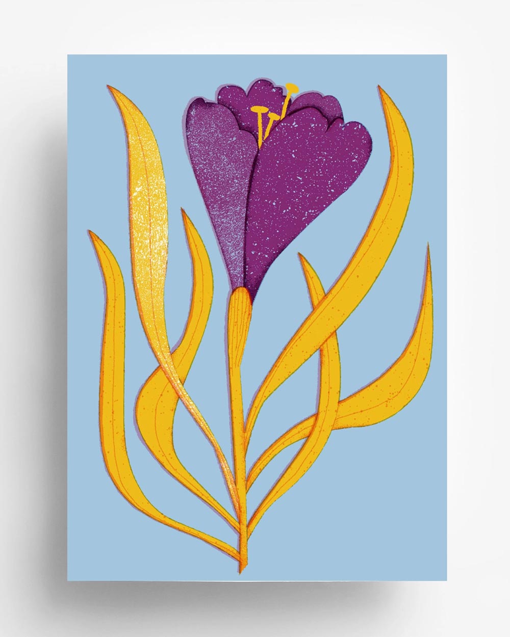 Barbara Dziadosz Crocus Flower Postkarte