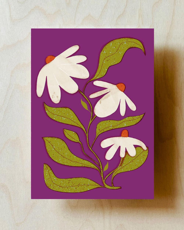 Barbara Dziadosz Daisy Flower Postkarte