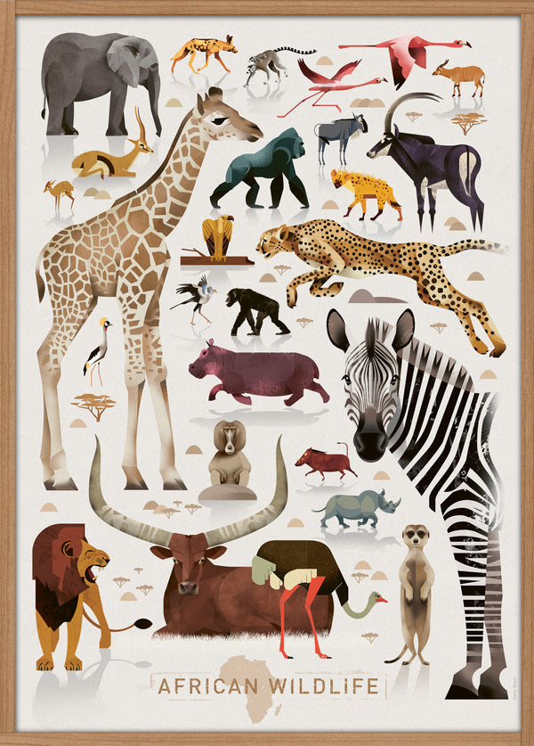 African Wildlife Poster (50x70cm)