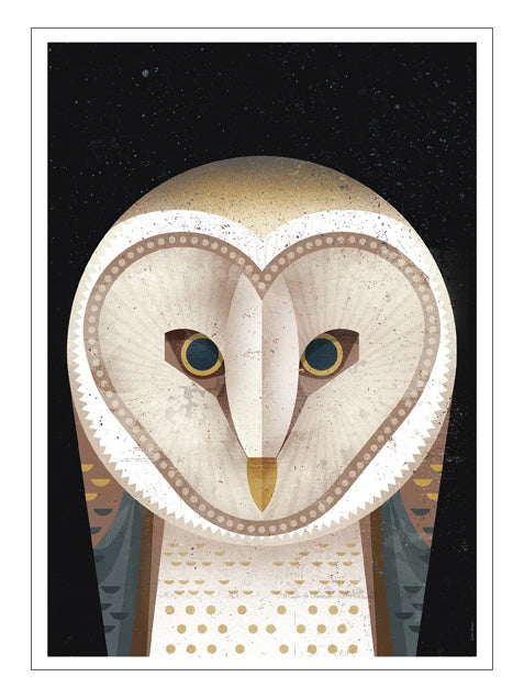 Barn Owl Postkarte
