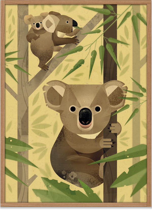Koala Poster (50x70cm)