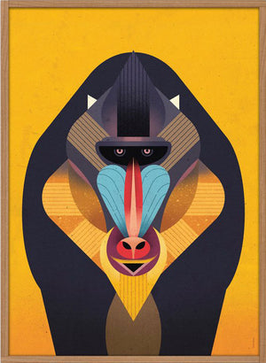 Mandrill Poster (50x70cm)